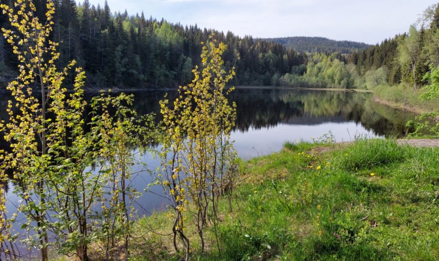 Søndre og nordre Movatn (Movann)