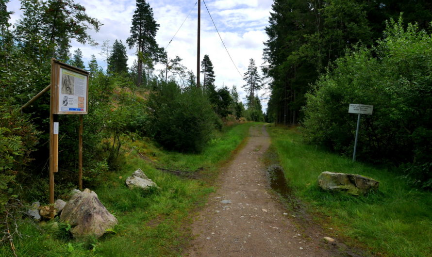 Gamle Trondheimsvei